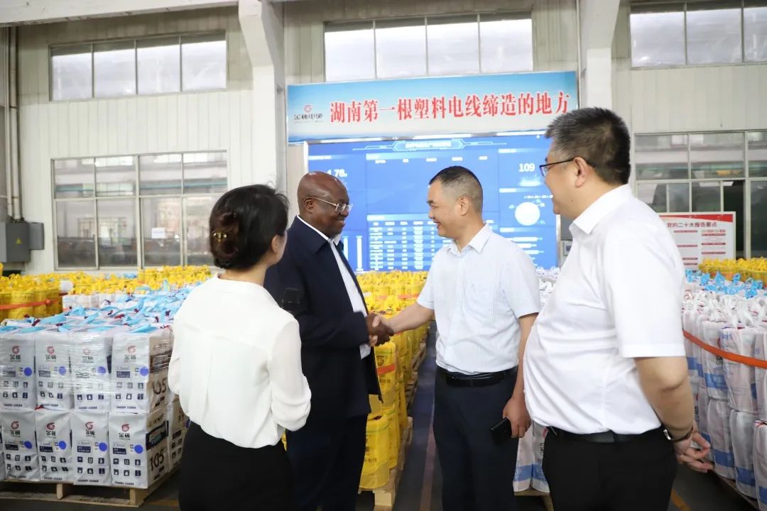 剛果（金）駐華大使巴盧穆埃內蒞臨金杯電纜考察